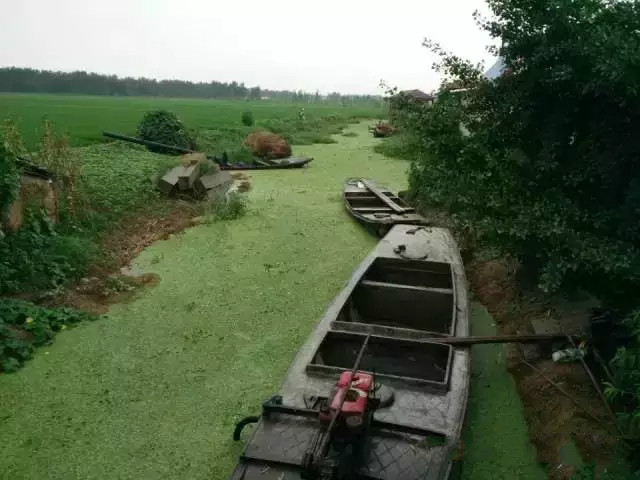 澳门巴黎人赌场